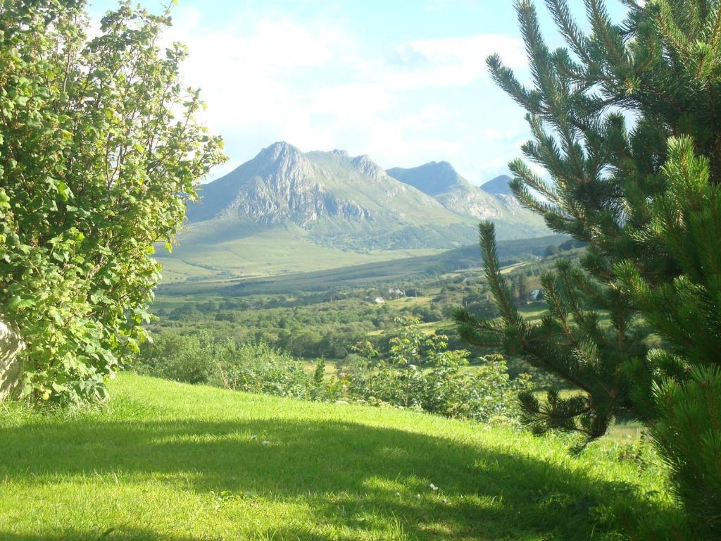 تونغ Ben Loyal Hotel المظهر الخارجي الصورة