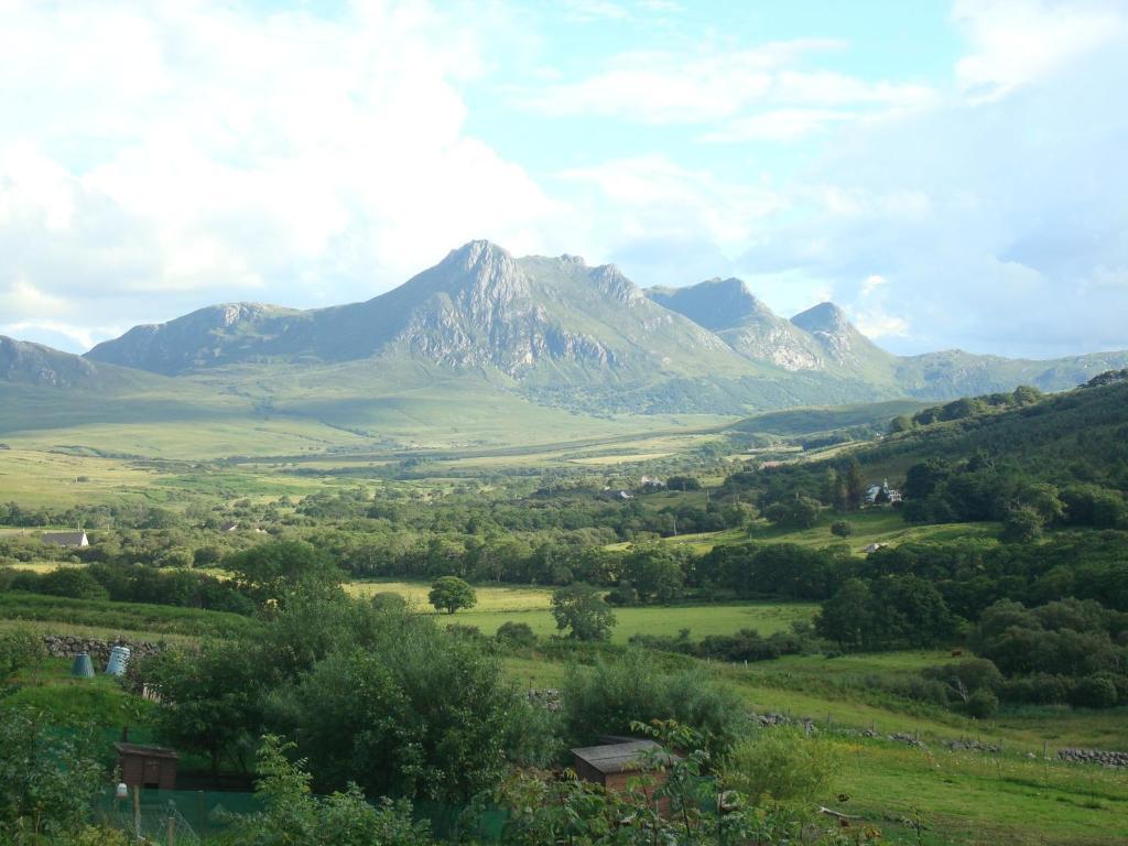 تونغ Ben Loyal Hotel المظهر الخارجي الصورة